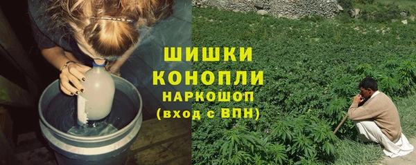 спайс Баксан