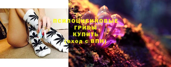 spice Богородск
