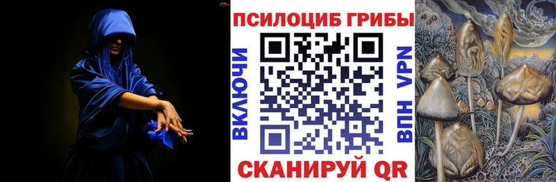 где продают   Скопин  Псилоцибиновые грибы Psilocybe 